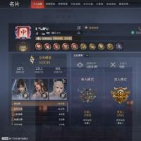 13红 379金 三排铂金2(2898) 幻丝244374 金砖40 通行证229级