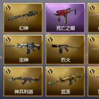 2王者武器 28V武器 3V角色 11皮肤 可排位 传奇