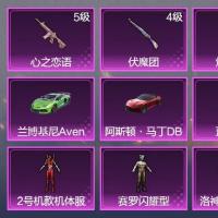 1升级枪 3粉装 4飞行器 146枪皮 89套装 7印记 铂金